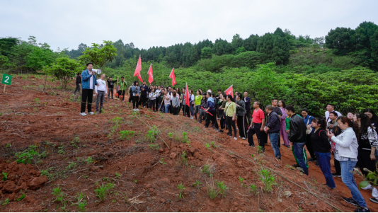 省南宫NG集团开展龙泉山都会森林公园 “包山头”植树运动