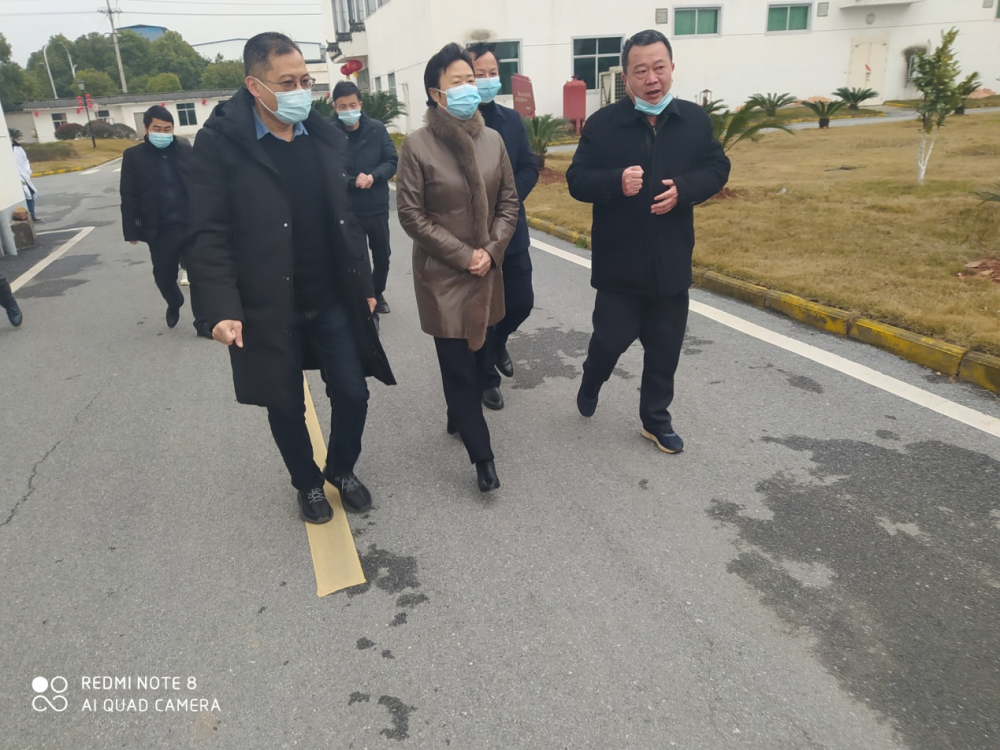 中共永丰县委书记邹卫梅莅临国际浩博vinbet集团视察复工复产事情